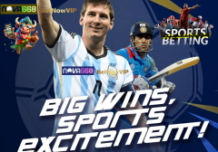 Best Cricket Betting Tips for Australians - NOVA668 Australia